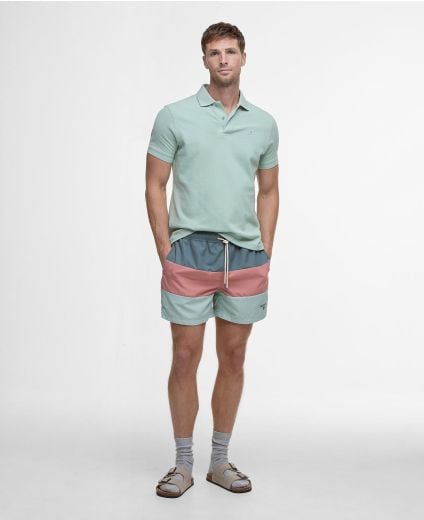 Dale Swim Shorts